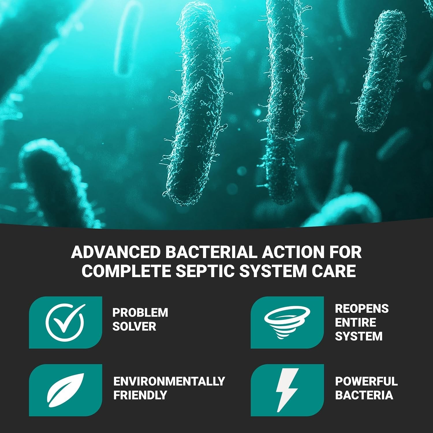 Septic System Cleaner: 32 Ounces, Cleans and Maintains Septic Systems for Opt…
