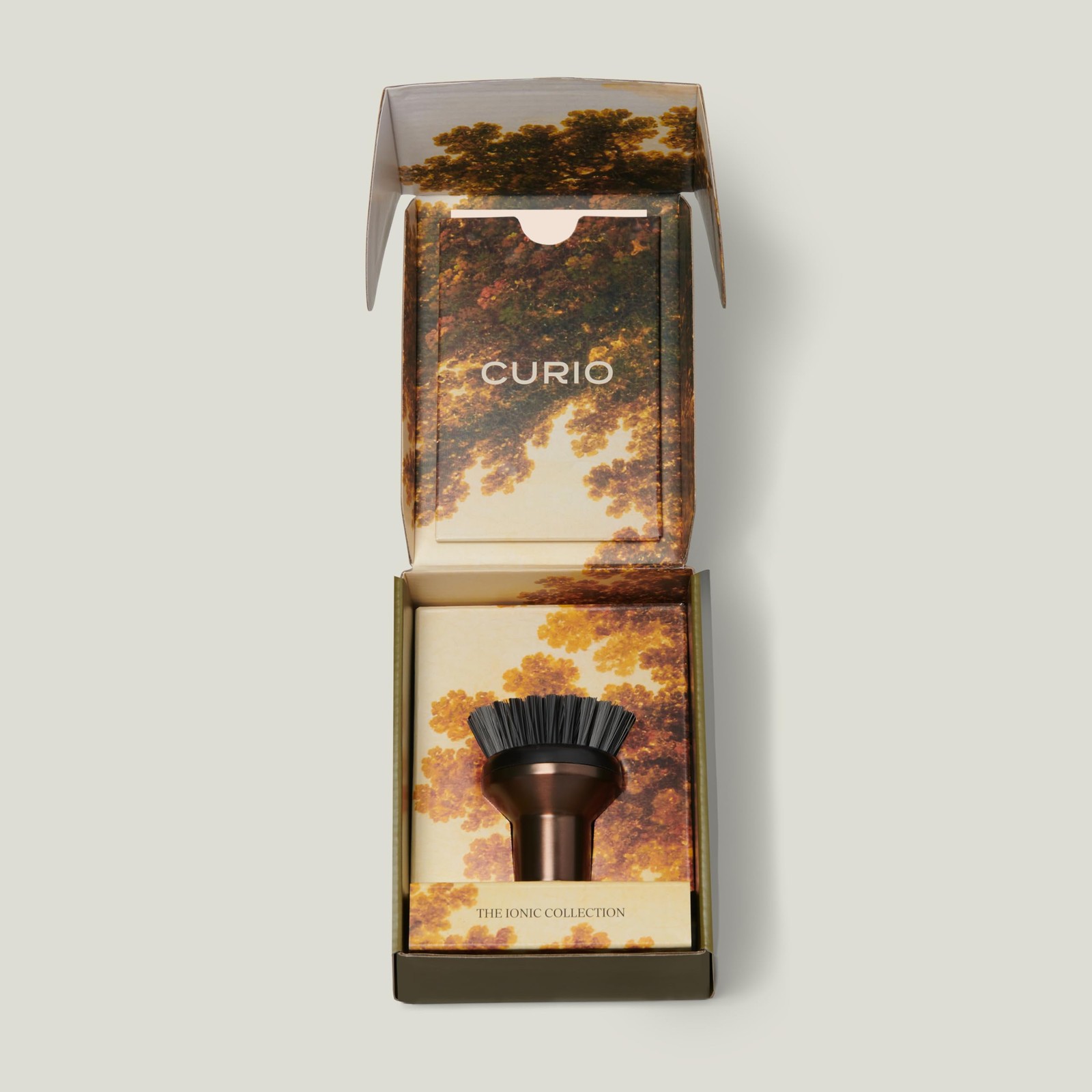 Ionic Palm Brush, Magnetized to Stand Upright, Stainless Steel with Replaceab…