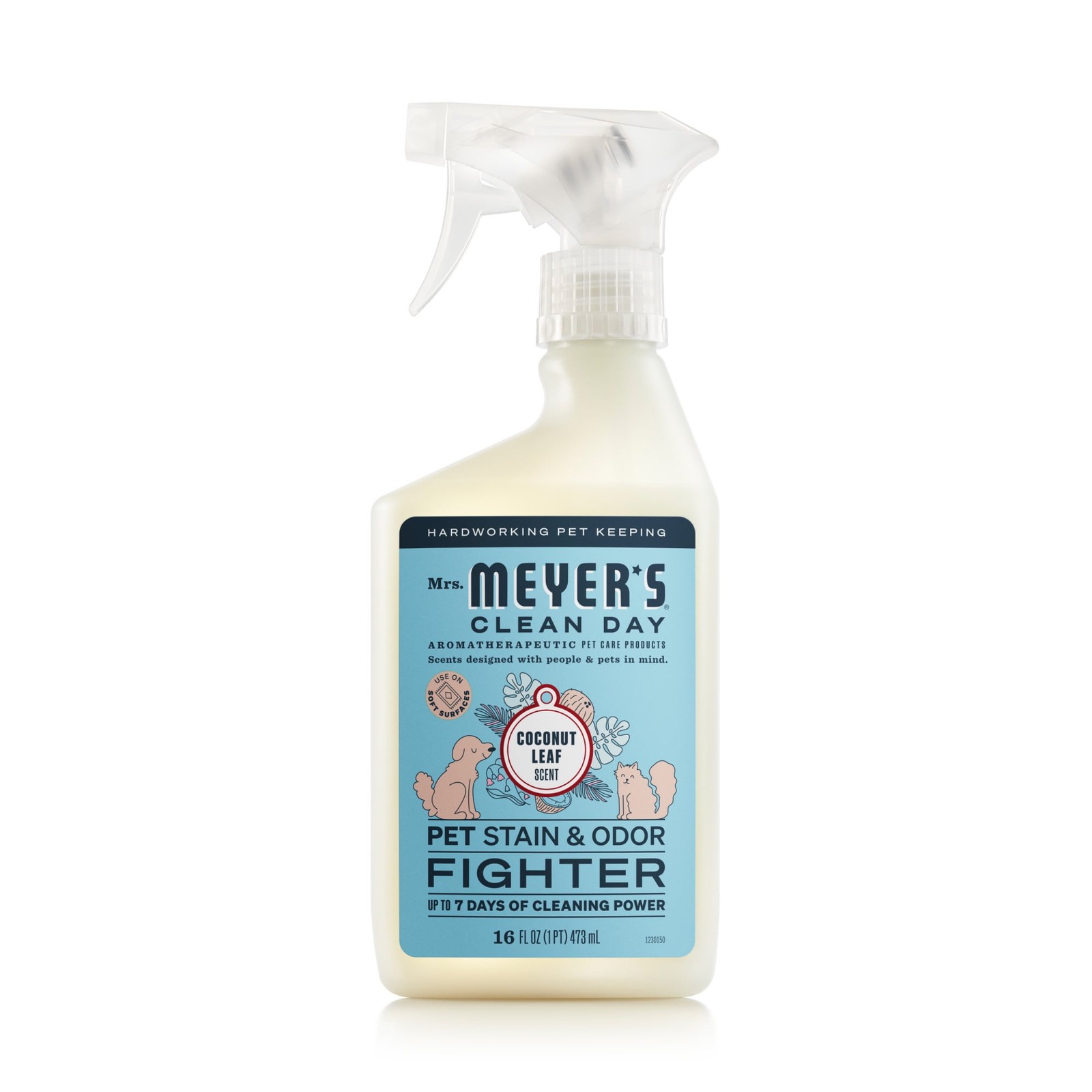 Clean Day Pet Stain & Odor Fighter, Coconut Leaf Scent, 16oz