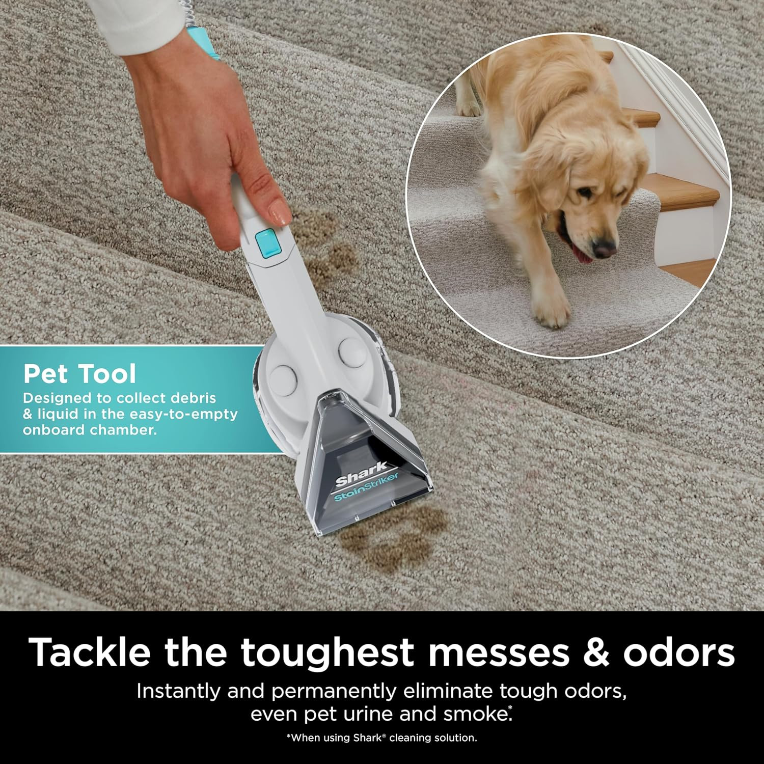 Shark Stainstriker Cleaning Solution Bundle for Portable Cleaners, Carpet and Ar