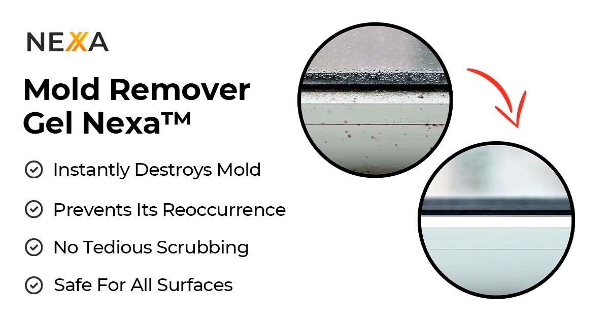 Nexa Mold Remover Gel – Helps Remove Mold Stains on Multiple Surfaces
