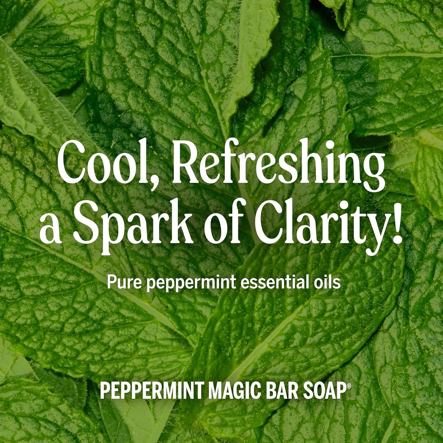 Dr. Bronner’s Pure-Castile Magic Bar Soap (Peppermint, 5oz, 12-Pack) ?C Made wi