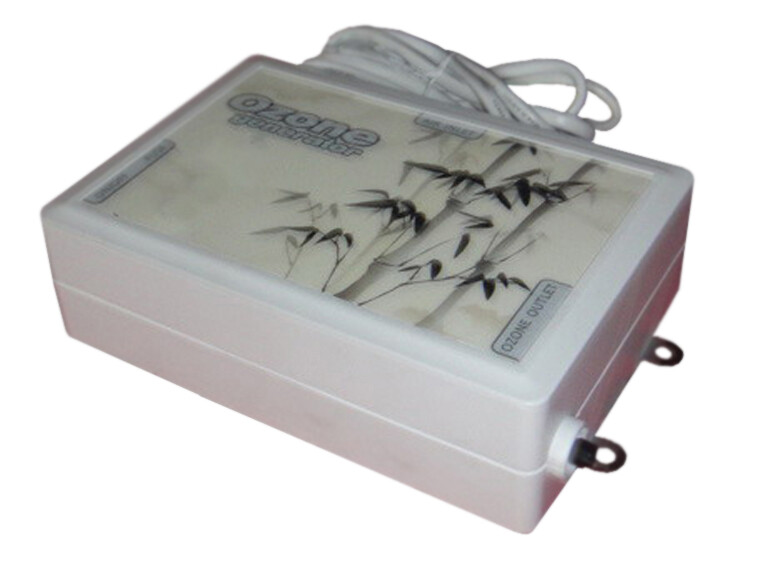 Ozonizer OZONE Generator 300mg/H EO3G for Water/Air in Room/Kitchen/Car/Lavatory