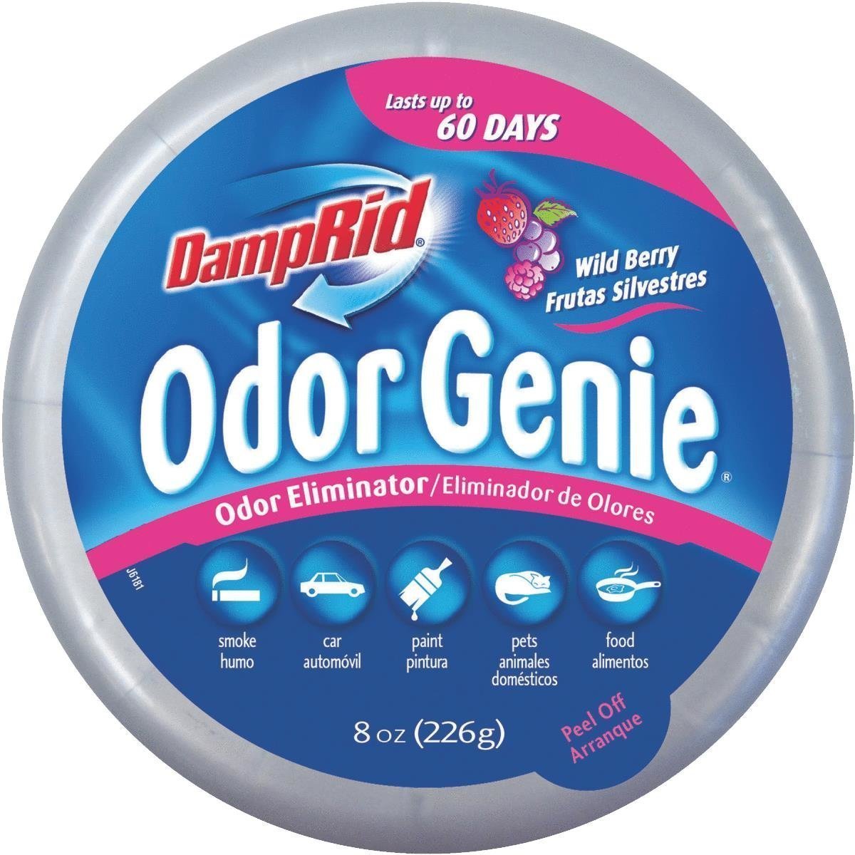 DampRid Odor Eliminator Solid Air Freshener Wildberry 2 PK
