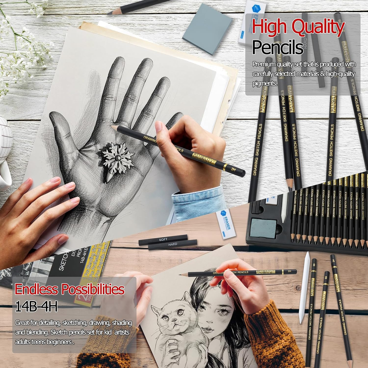 Drawing Sketching Pencil Set, 20 Piece Pro Art Pencil Kit, 4H-14B Graphite Penci