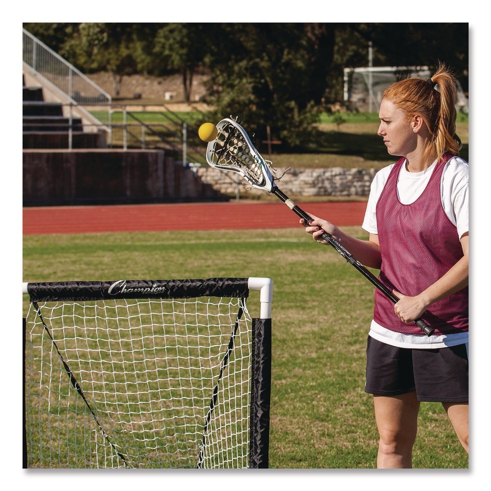 Champion Sports MLG 3 ft. x 3 ft. 1.5 in. dia. Frame Mini Lacrosse Goal New