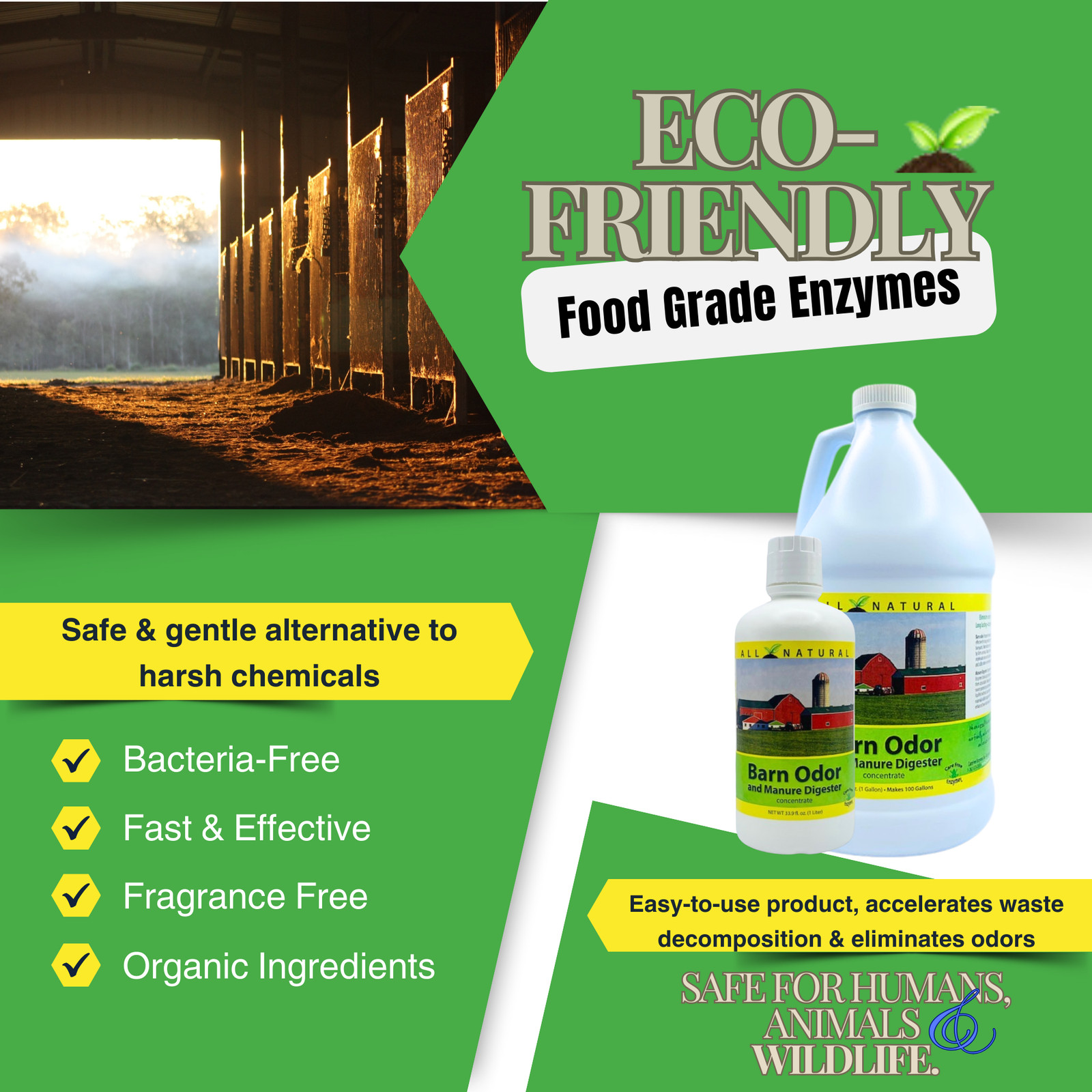 Concentrated Barn Deodorizer & Manure Digester | Ammonia Control for Livestock S