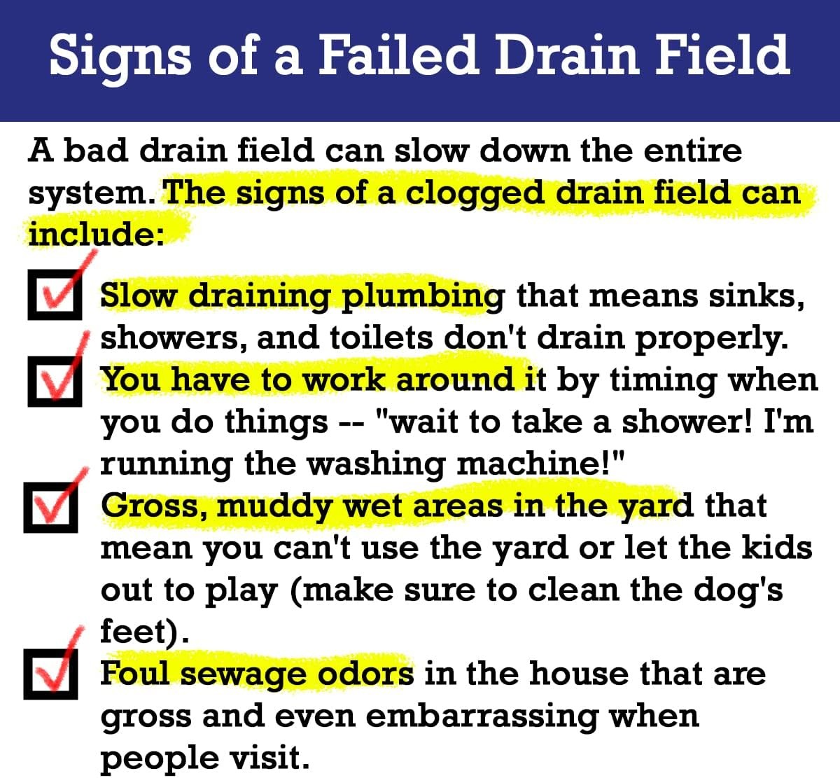 2-Pack Value BUNDLE of Drain Field Cleaner Tablets by Dr Pooper. Clears Septic