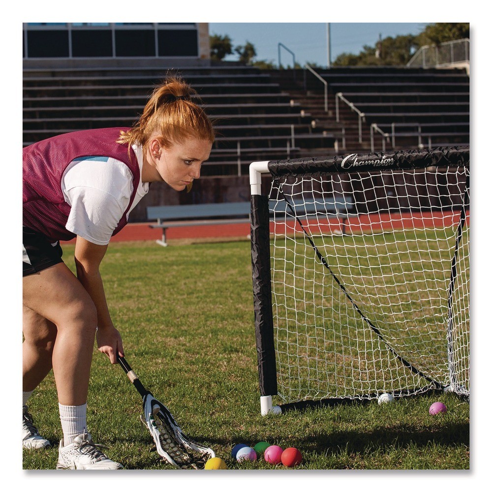 Champion Sports MLG 3 ft. x 3 ft. 1.5 in. dia. Frame Mini Lacrosse Goal New