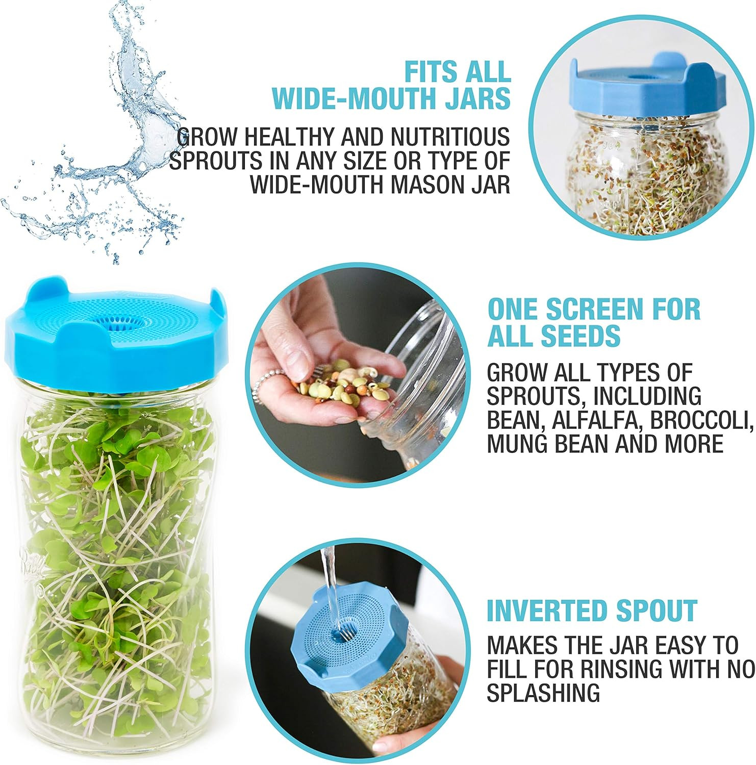 Masontops Bean Screen Plastic Mason Jar Sprouting Lids Mason Jar Sprouting Kit –