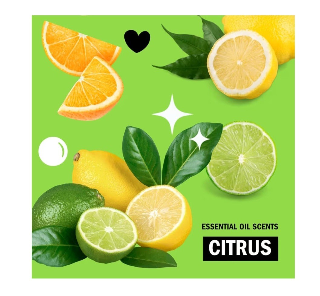 Molly’s Suds Dishwasher Pods Citrus 120 Safer Ingredients Vegan Cruelty-Free