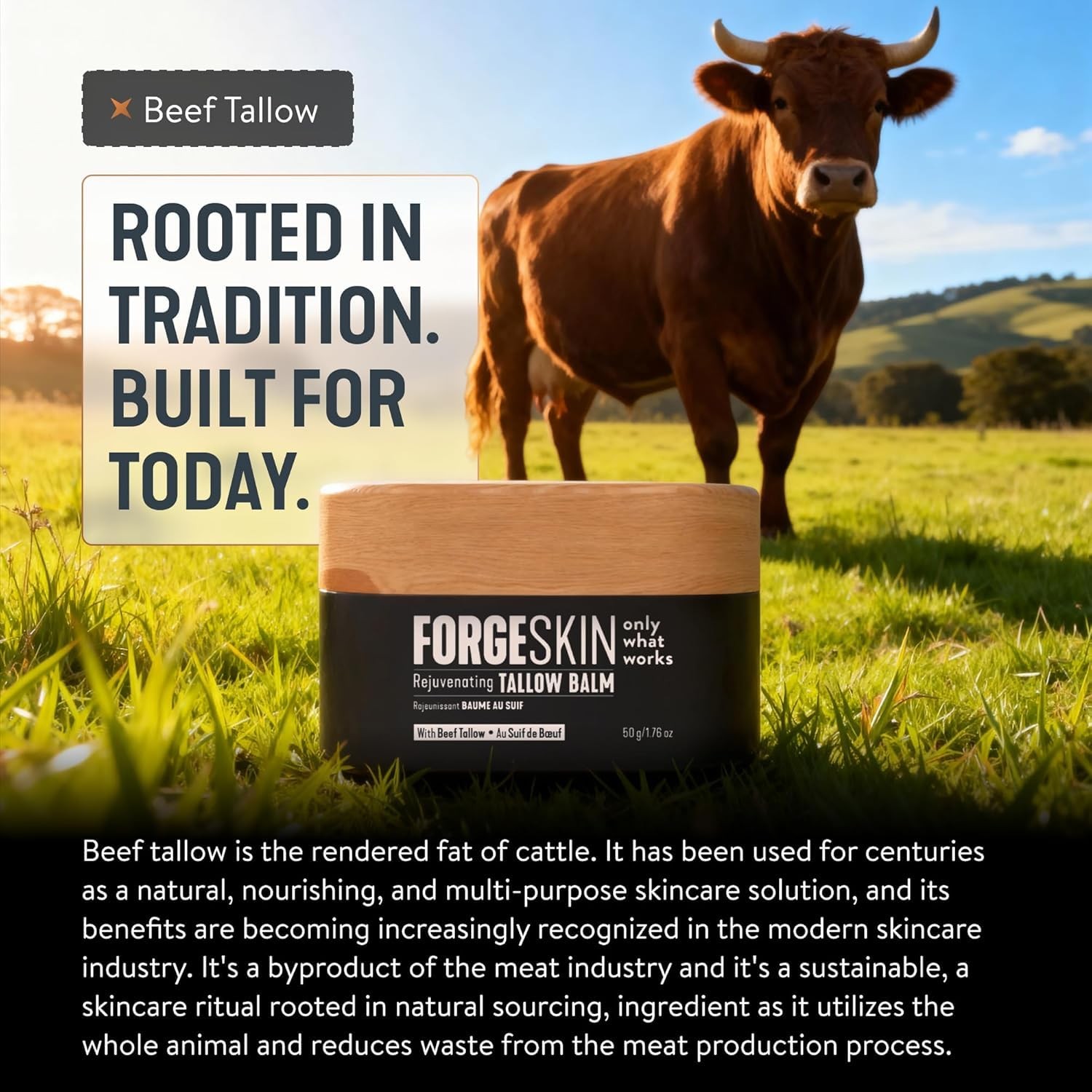 Forge Skin Beef Tallow Balm Moisturizer for Men Skin Care – Face + Body Anti A