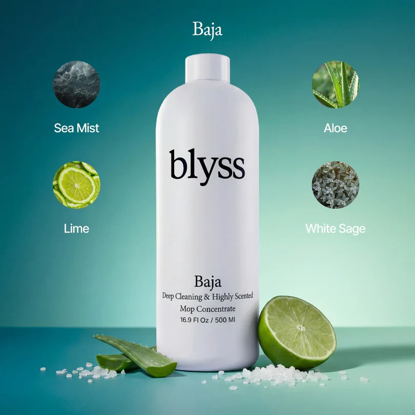 Blyss Mop Soap 4 Variety Pack Brazilian Waves Heartbreaker Baja Sunwashed Linen