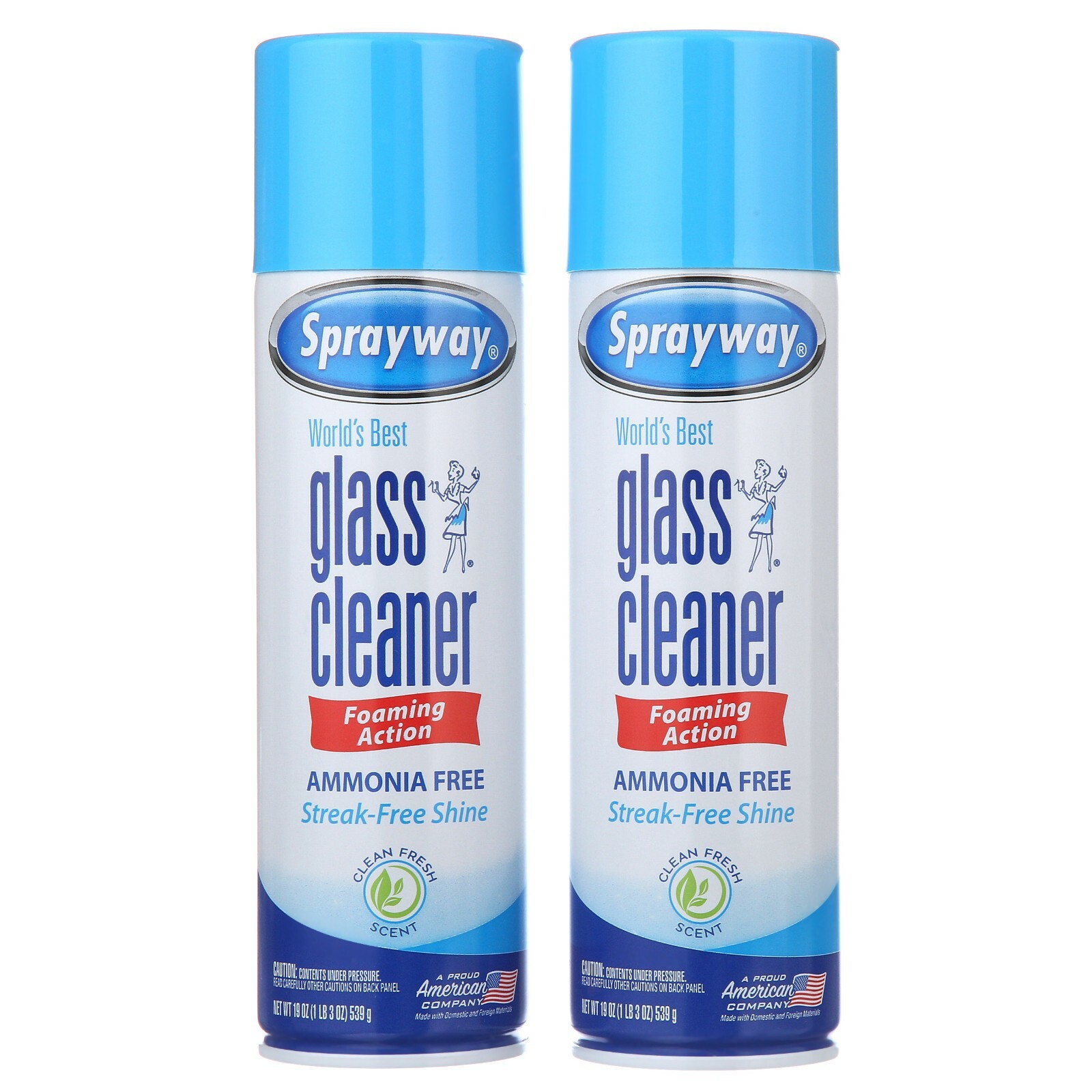 (2-Pack) Sprayway Best Heavy Duty Glass Cleaner with Foaming Action 19 Oz Spray
