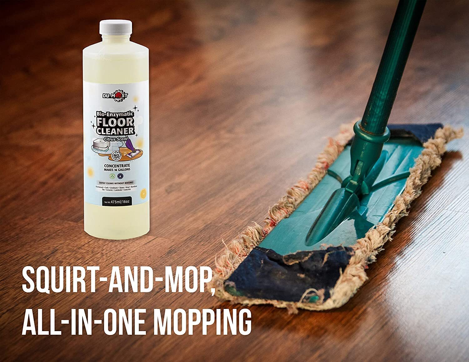 Enzymatic Floor Cleaner Concentrate 1 Oz Makes 1 Gal No Streak No Rinsing Kids