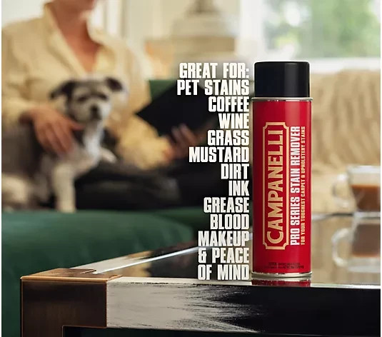 Campanelli Set of 2 18oz Point and Spray Stain Removers
