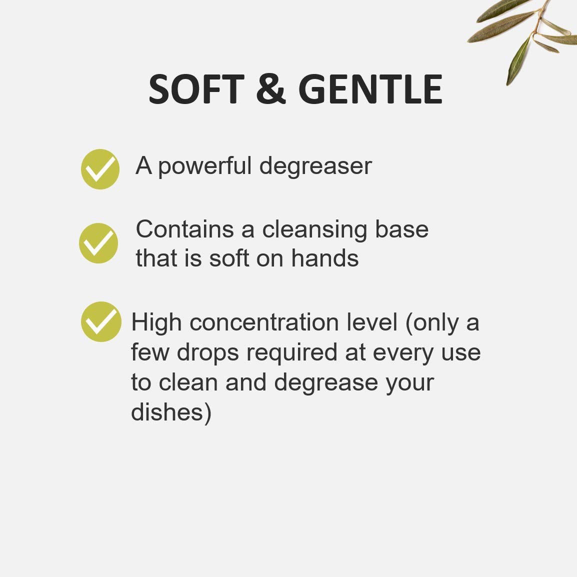 Coriander and Olive Dish Detergent 500ML