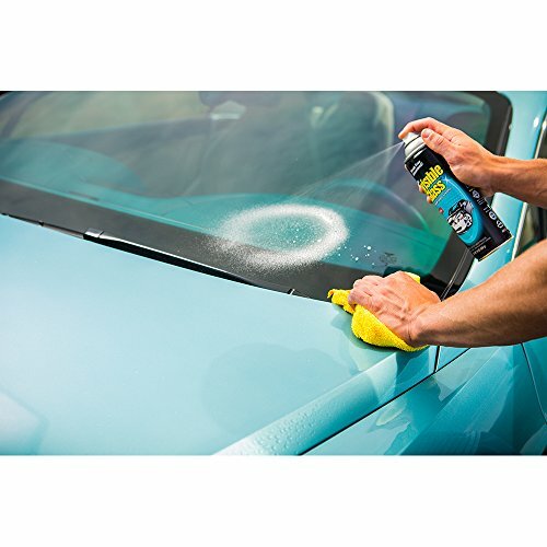 Invisible Glass 91164-6PK 19-Ounce Cleaner for Auto and Home Assorted Styles