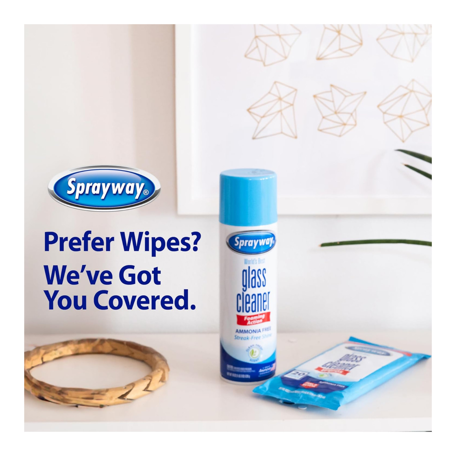 Sprayway Glass Cleaner 19 Ounce Pack of 4 Streak Free Shine free shipping