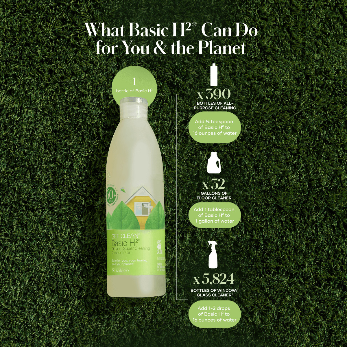 Basic H2 Biodegradable Cleaner