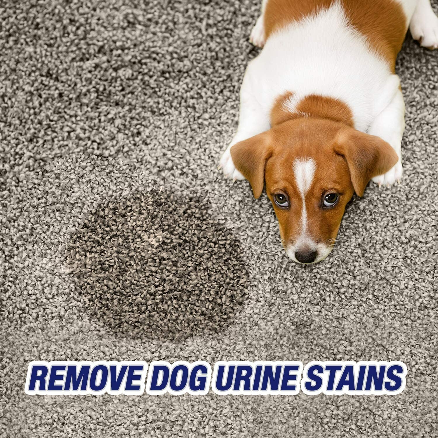 Resolve Urine Destroyer Spray Stain & Odor Remover, Transparent, No Flavor, 32 F