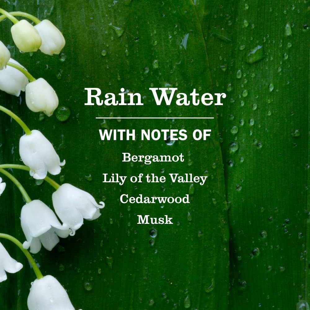 Multi-Surface Cleaner Rain Water Scent 16 Fl Oz – 1 Pack