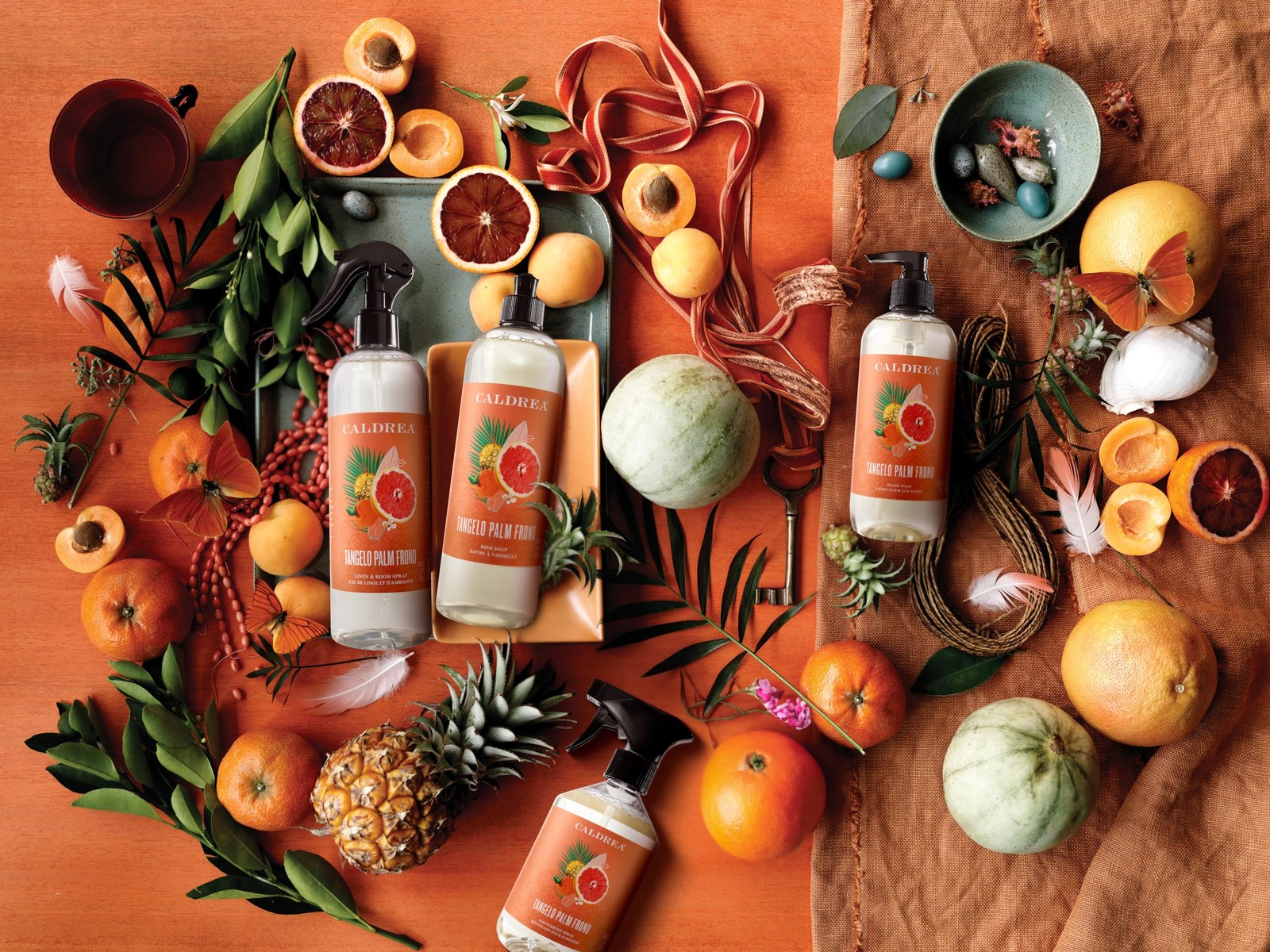 Multi-surface CounterTop Spray Cleaner, Made With Vegetable Protein Extract, …