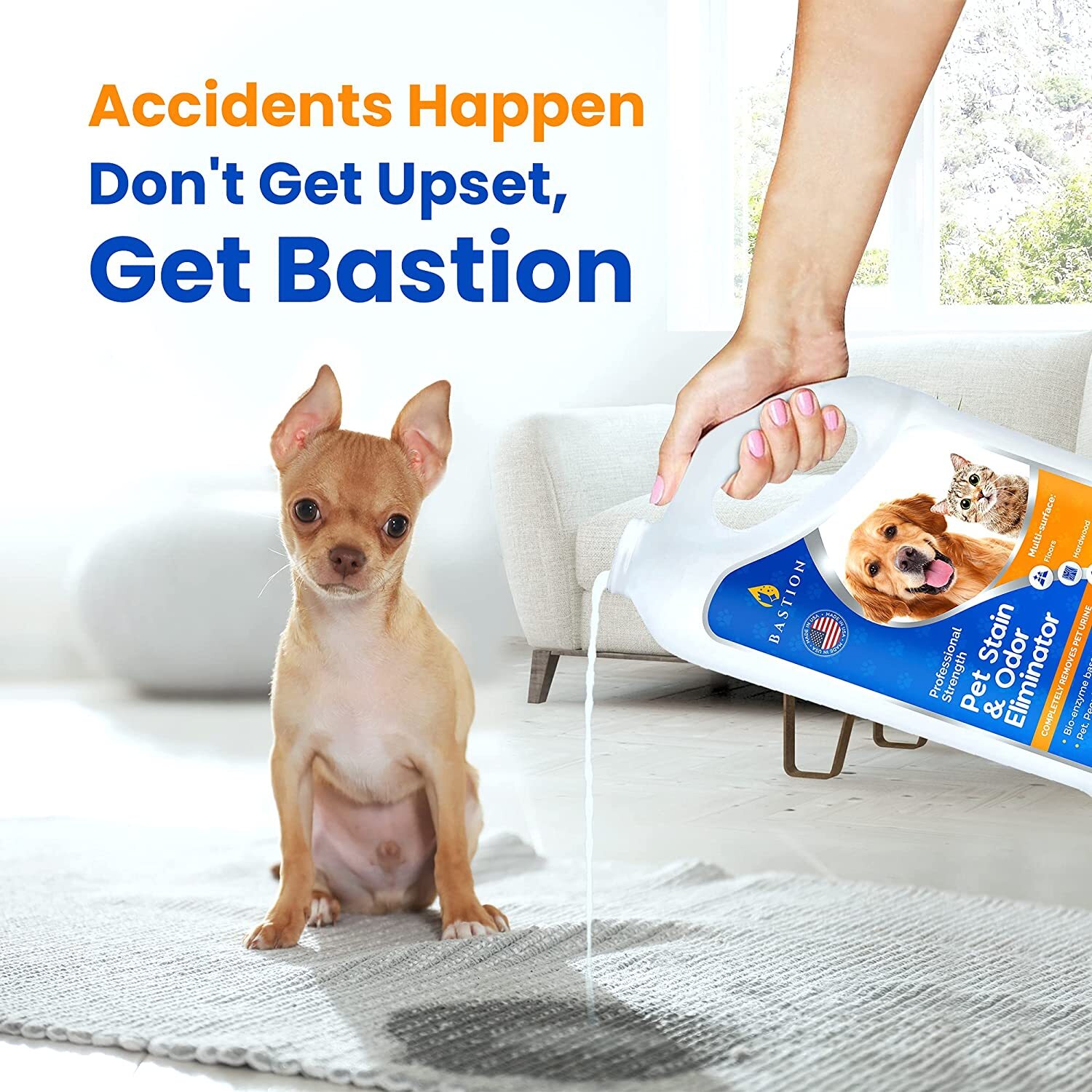 Pet Stain Remover & Odor Eliminator Spray – Enzyme Powered Carpet Cleaner