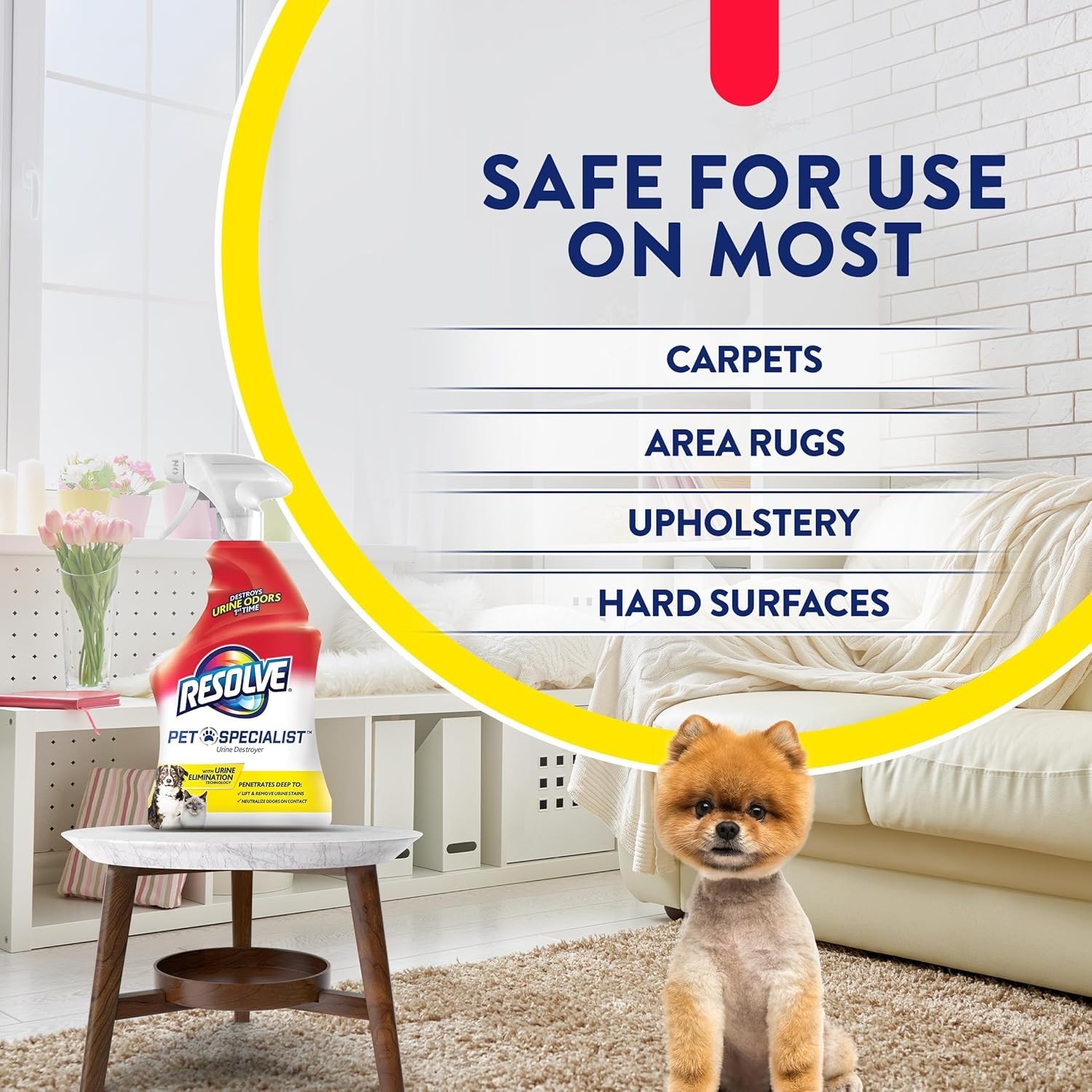 Resolve Urine Destroyer Spray Stain & Odor Remover, Transparent, No Flavor, 22 F