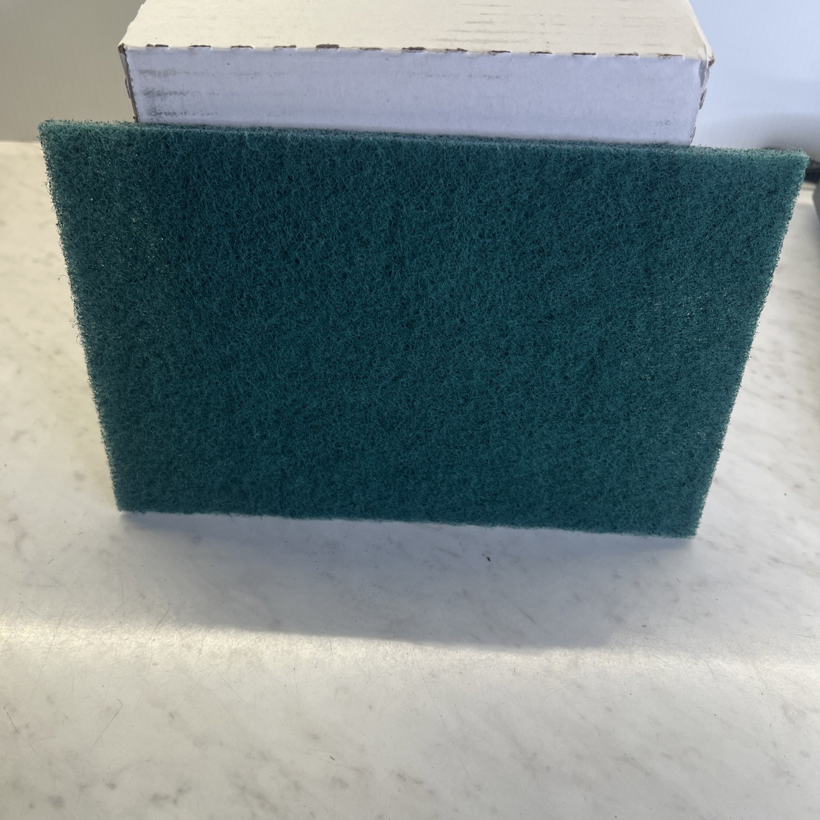 RENOWN Scouring Pads 20ct , Green, Medium Duty-REN02114 6”x9”