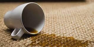 Capture Carpet Cleaner Powder 2.5lb Stain Remover Deodorizer for All Carpets
