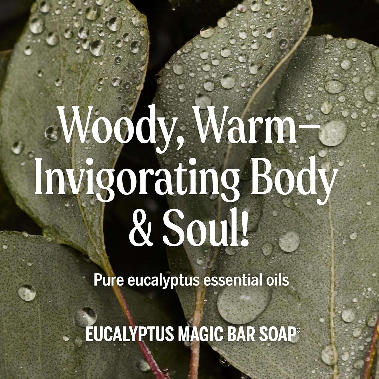 Dr. Bronner’s Pure-Castile Magic Bar Soaps (Eucalyptus, 5oz, 12-Pack) ?C Made w