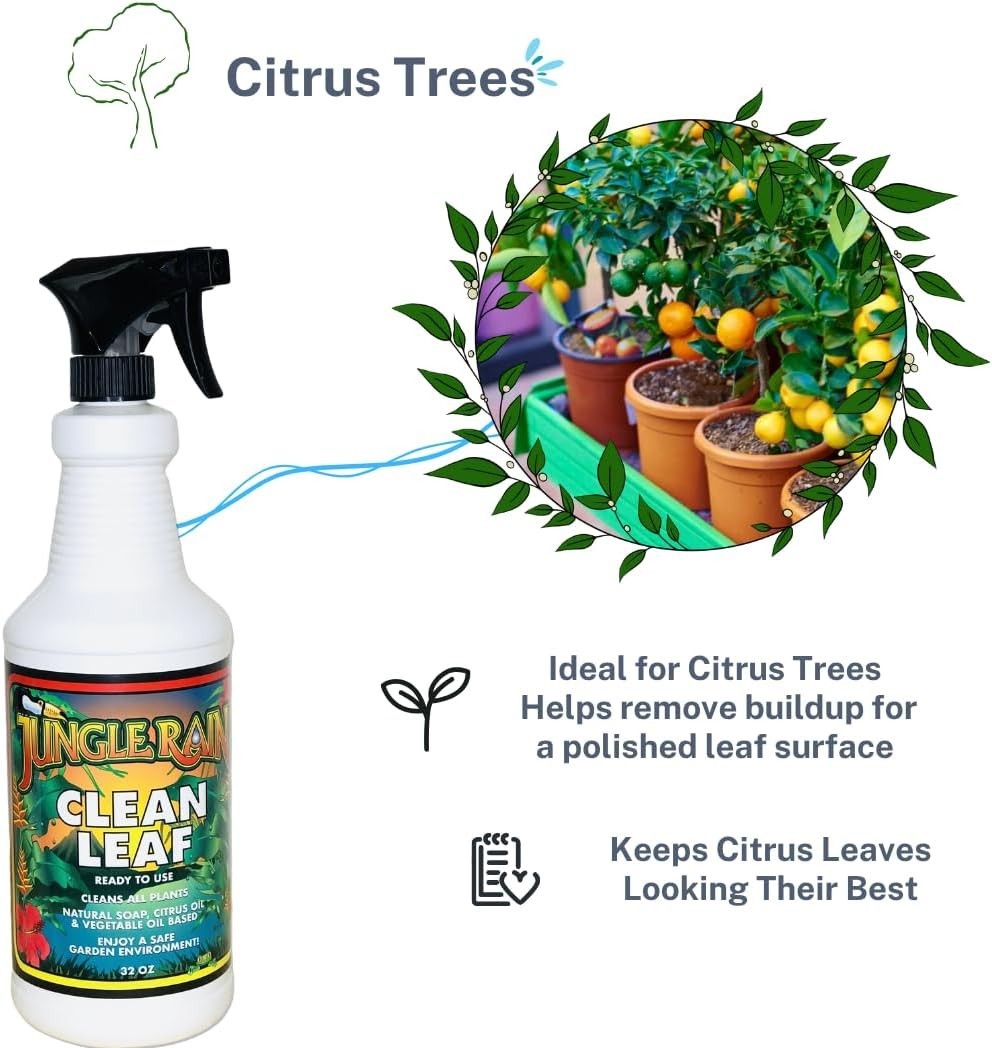 32oz Ready-to-Use Clean Leaf Spray – Enhances Shine & Cleans Leaves Naturally