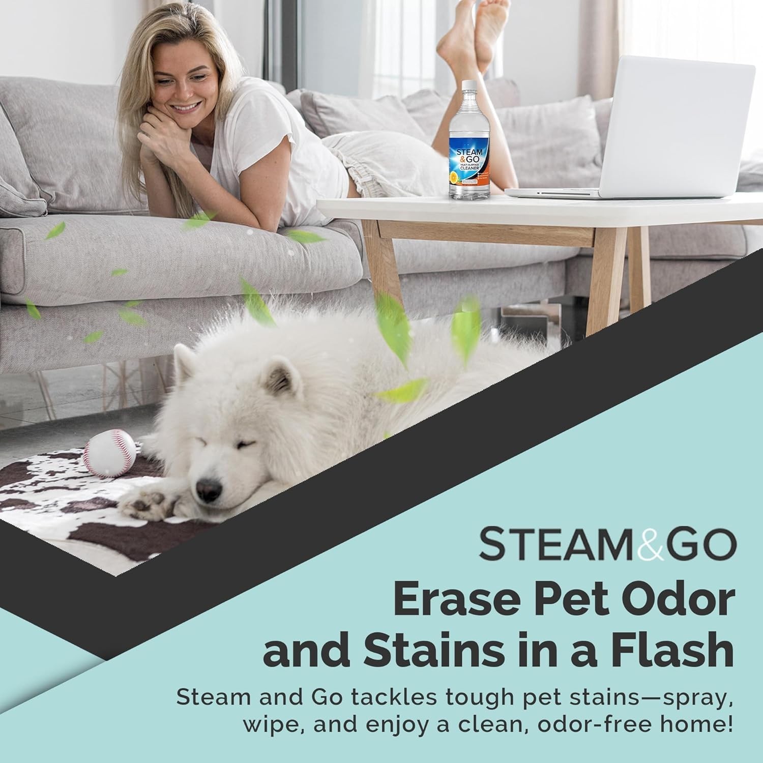 Steam & Go Multi-Surface Cleaner with Oxy Power, 32 oz