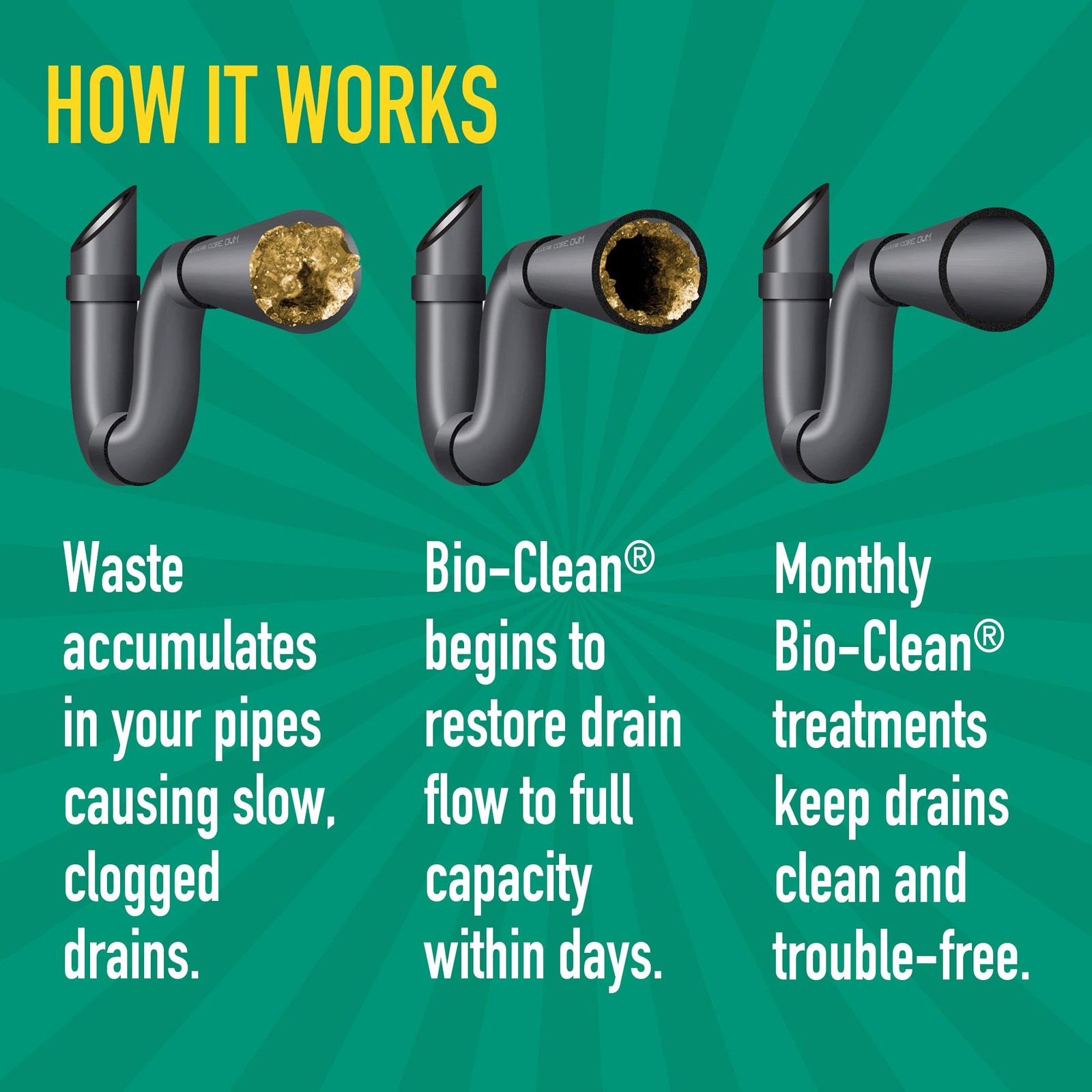 Bio-Clean Drain Septic 2 Can Cleans Drains- Septic Tanks – Grease Traps All N…