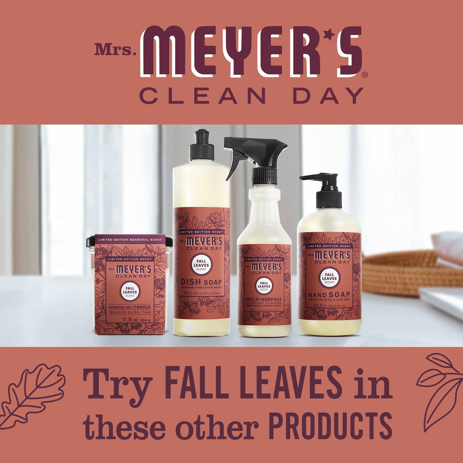 CLEAN DAY Dish Soap, Fall Leaves Scent, 16 fl oz (1)