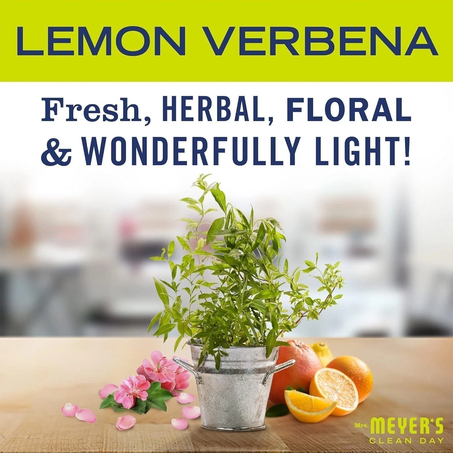 MRS. MEYER’S CLEAN DAY Liquid Dish Soap Refill, Lemon Verbena (48 Fl Oz (Pack of