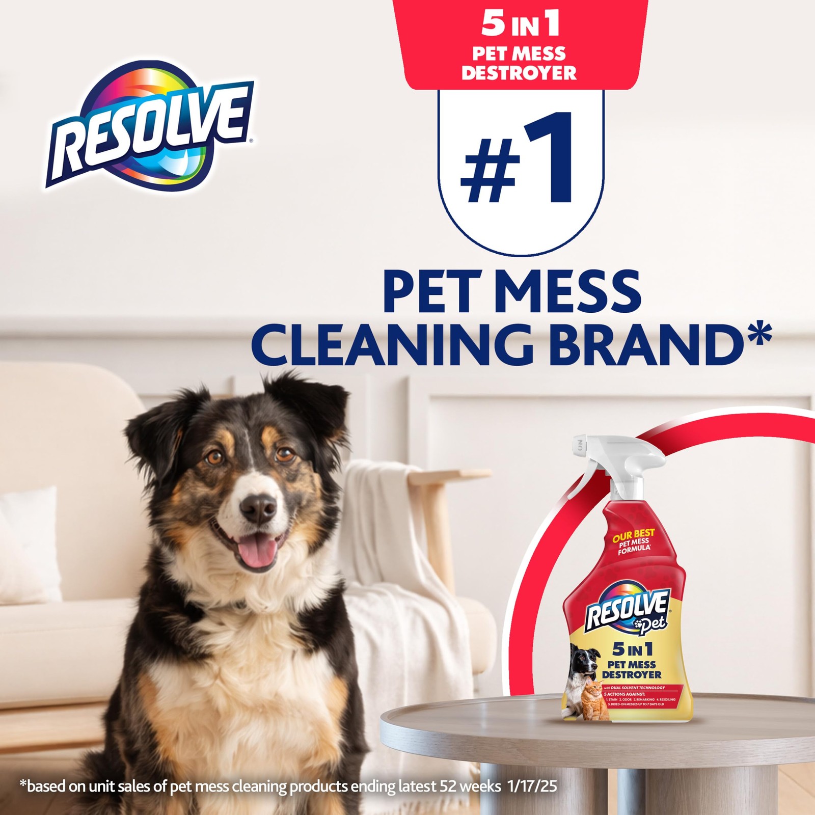 5-in-1 Carpet Cleaner Spray – for Removal of Pet Stains & Odors Up to 7 Days …