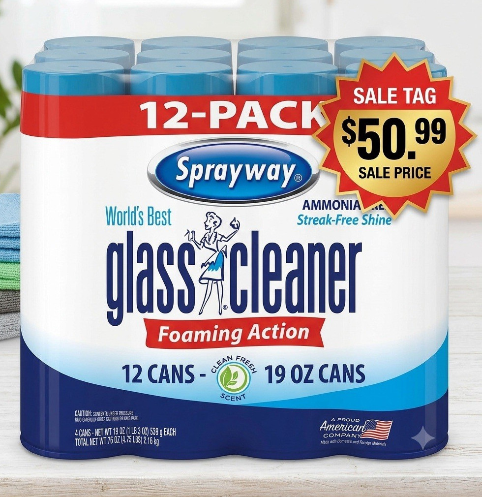 Sprayway Glass Cleaner, 19 oz., Choose Pack Size