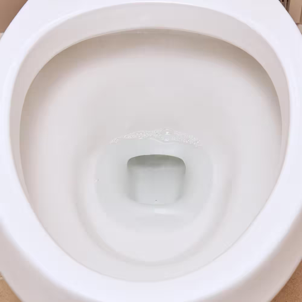 Sno Bol 24 Oz. Liquid Toilet Bowl Cleaner (Case of 12)