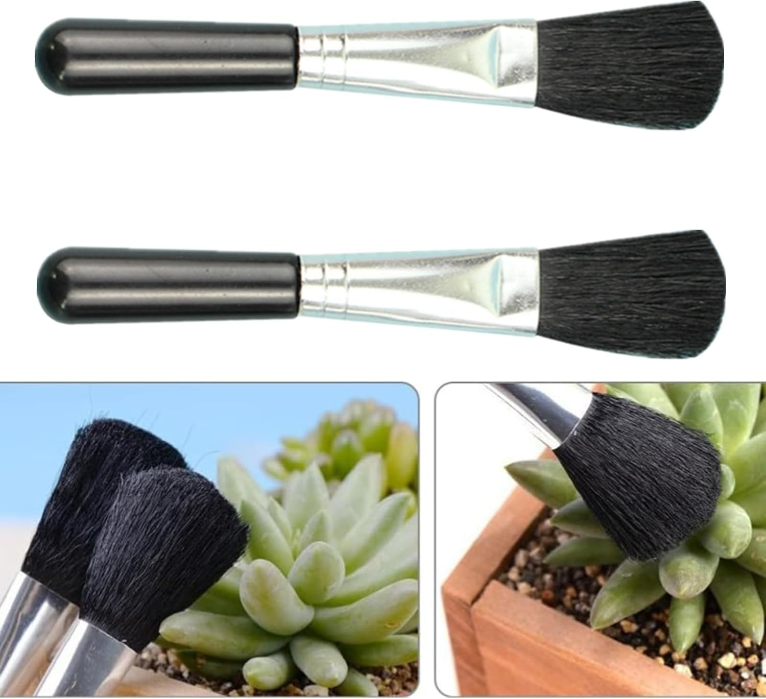 Elegant Black 2-Pc Duo: Plant Leaf Cleaner & Miniature Moss Brush for Gardens