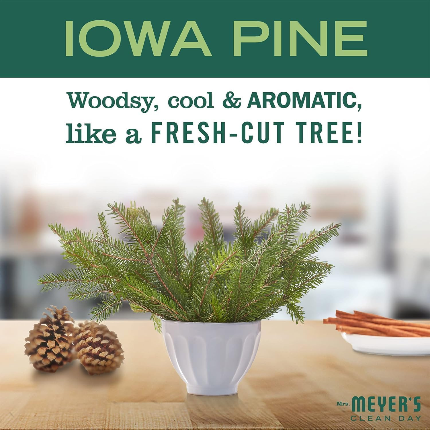 CLEAN DAY Liquid Dish Soap, Limited Edition Iowa Pine, 16 Fl. Oz – Pack of 3