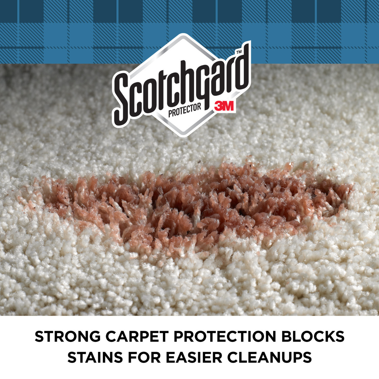 Scotchgard Rug & Carpet Protector: 14 ounces (Clear) 4406-14 PF