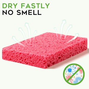 Compressed Cellulose Kitchen Sponges 24Pack,Non-Scratch Biodegradable Natural