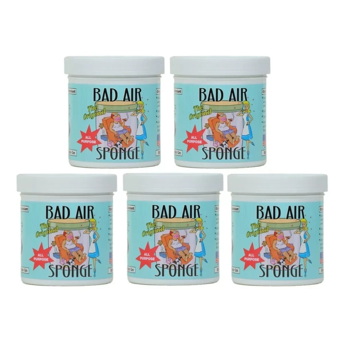 Bad Air Sponge, 14 Oz, All Purpose Odor Absorbing Neutralant – 5 Pack