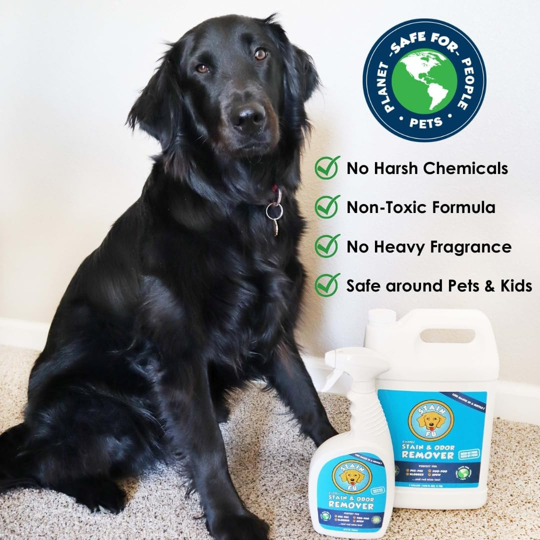 Pro Strength Carpet Odor & Stain Remover Works like Magic in a Bottle on Tough U