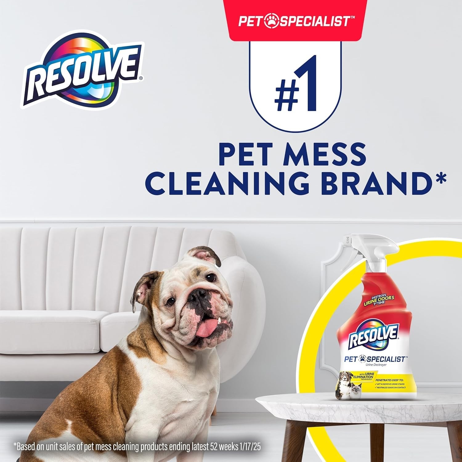 Resolve Urine Destroyer Spray Stain & Odor Remover, Transparent, No Flavor, 22 F