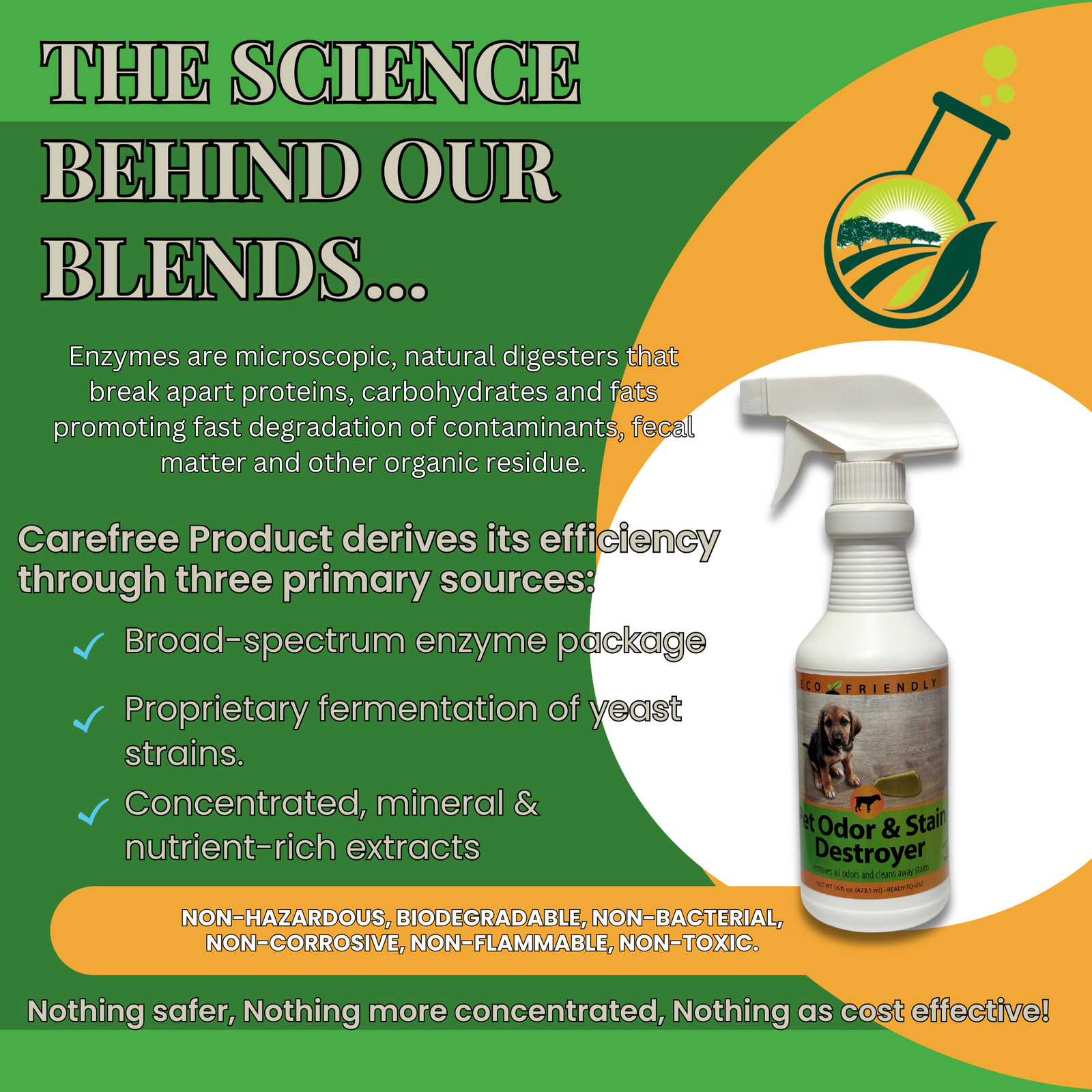 Enzyme Cleaner for Pet Stains & Odors | Urine & Stain Destroyer Spray | 16 oz &