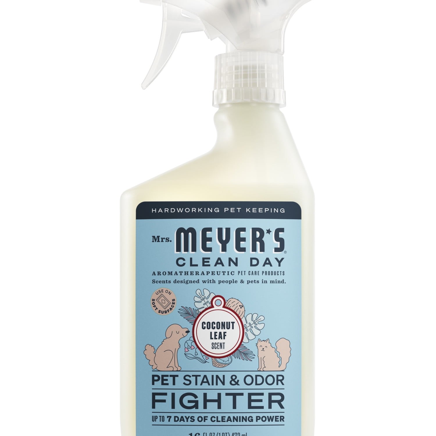 Clean Day Pet Stain & Odor Fighter, Coconut Leaf Scent, 16oz