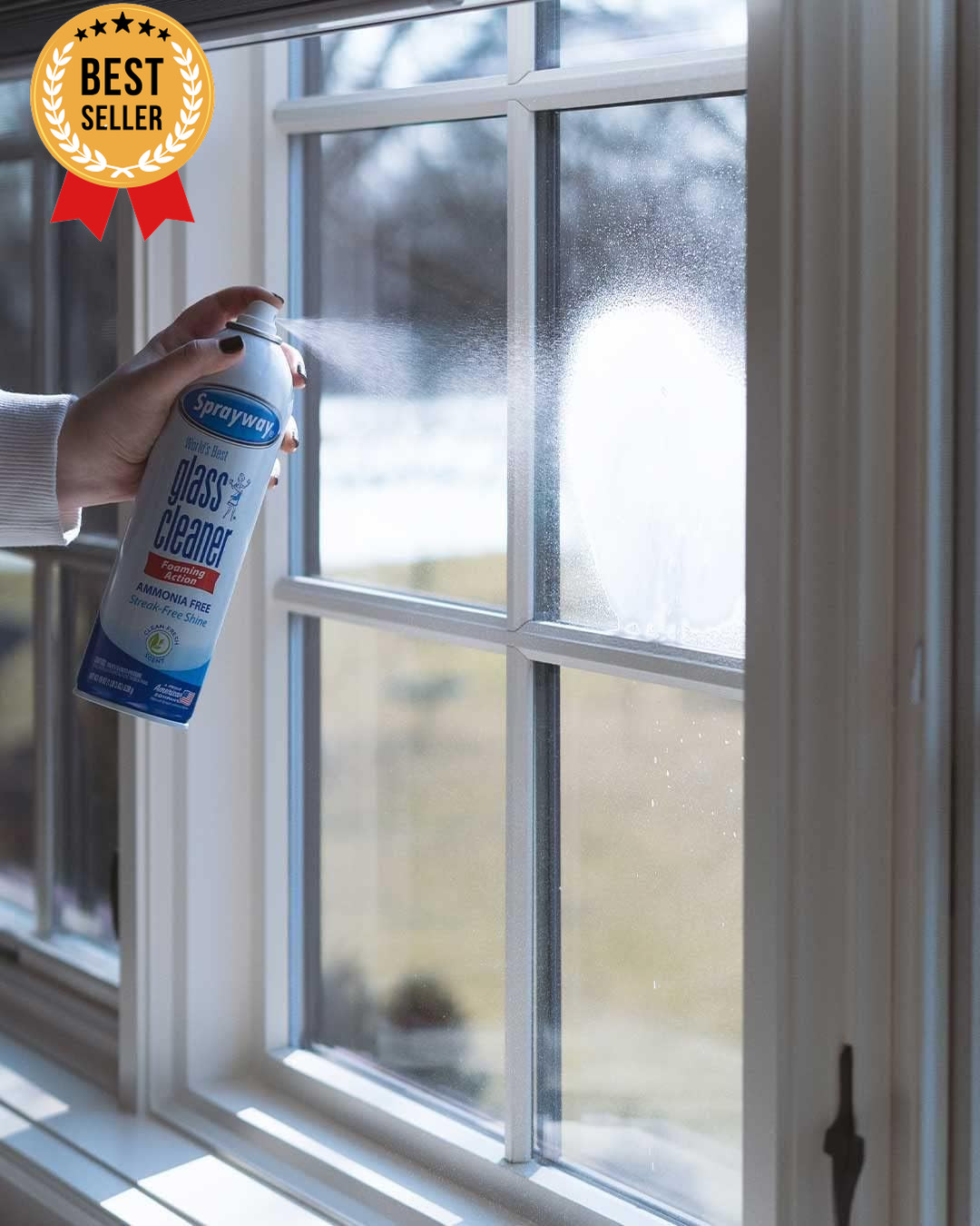 Glass Cleaner Foaming Spray Streak-Free Shine Home Automotive 19 Oz Pack of 12